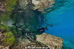 Freediving in the Green Lake ,Austria by Michael Weberberger 